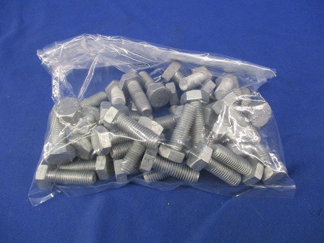 六角ボルト(40本入)亜鉛メッキ M6×30