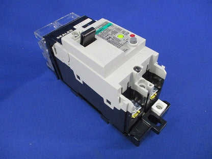 プラグインユニット付漏電ブレーカ 2P30A GE52CPS