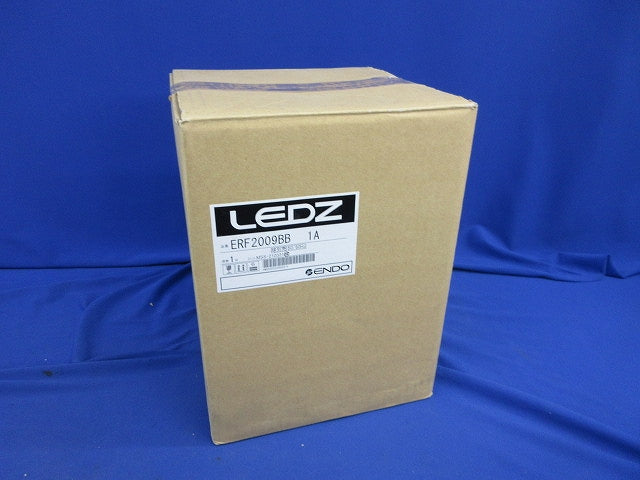 電気スタンド(電球おまけ) ERF2009BB