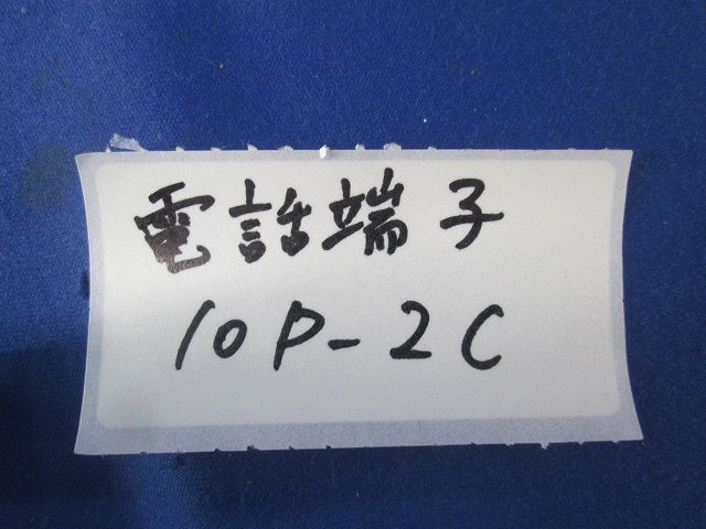 電話端子 端子板10列(2個入) 10P-2C