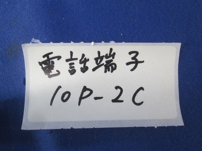 電話端子 端子板10列(2個入) 10P-2C
