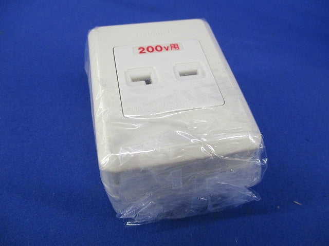 露出コンセント(2個入)キズ・汚れ有 WKS191