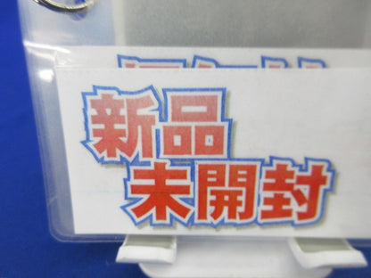 電子住宅用EEスイッチ 手動押釦(2個入)(新品未開封)National EE4991