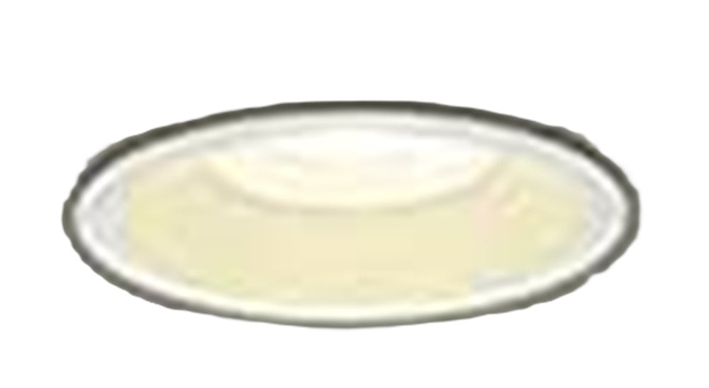LEDダウンライト φ125 2700K 電球色 調光器別売 DDL-5007YWG