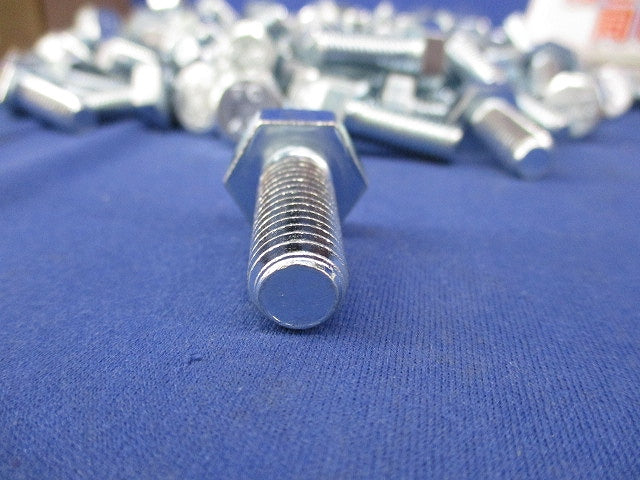 六角ボルト(ステンレス)(150個入) M10×25