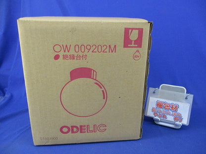 屋外用照明器具(壁面取付型)(新品未開梱) OW009202M