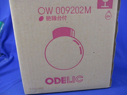屋外用照明器具(壁面取付型)(新品未開梱) OW009202M