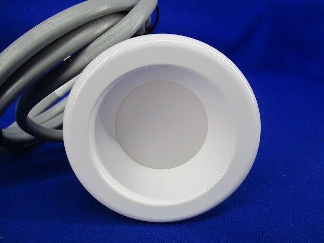 LEDダウンライト LE-D1-7A/1L