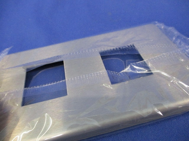 新金属プレート2型2コ用(5枚入) WN6502K