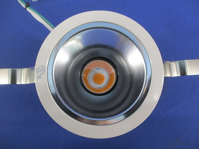 LEDダウンライト(軒下兼用)φ100 DDL-5545YWG