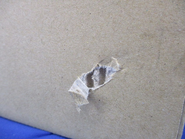 LEDダウンライト φ100 2700K 電球色 非調光 DDL-4828YW