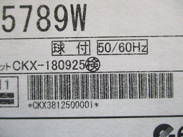 LEDダウンライト φ150 3000K 電球色 非調光 軒下兼用型 電源内蔵 ERD5789W