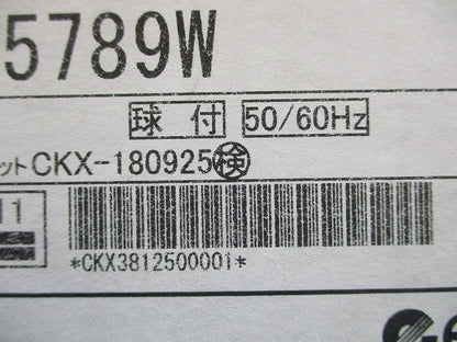 LEDダウンライト φ150 3000K 電球色 非調光 軒下兼用型 電源内蔵 ERD5789W