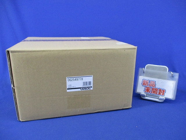 ポーチライト(ランプ無) OG254977