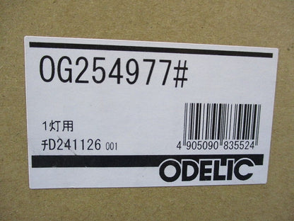 ポーチライト(ランプ無) OG254977