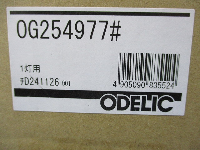 ポーチライト(ランプ無) OG254977