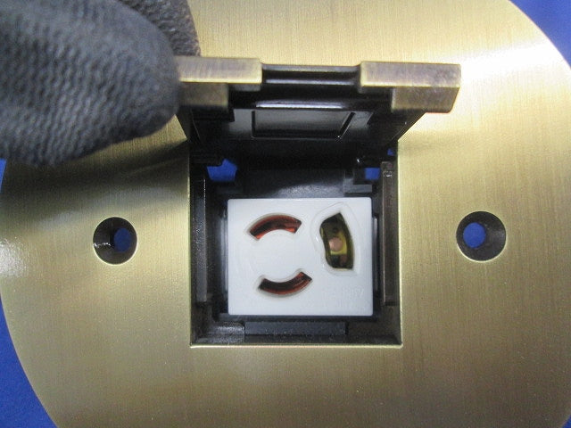 フロアコンセント LSF6004VGD