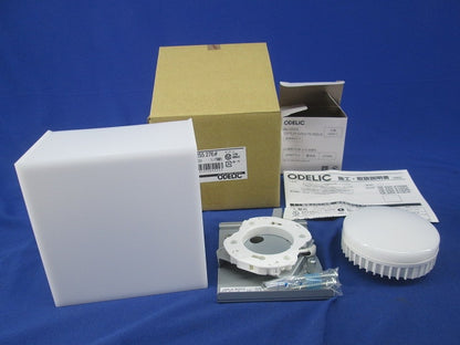 LEDブラケット ランプ付 OB255276+No295GL
