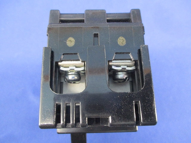 サーキットブレーカ 2P2E30A NE52C