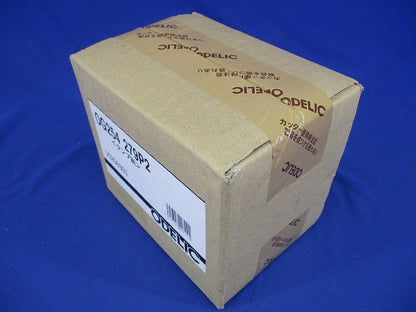 LEDポーチライト マットシルバー ランプ別売 OG254279P2