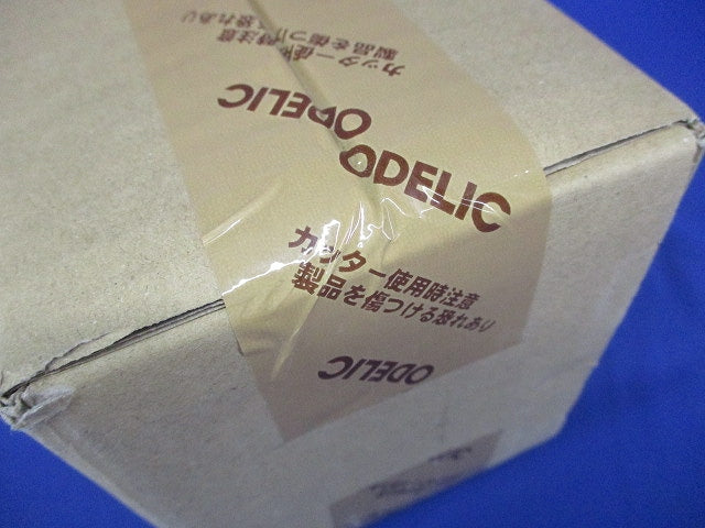 LEDポーチライト マットシルバー ランプ別売 OG254279P2