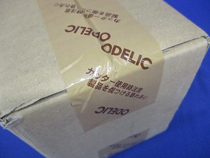 LEDポーチライト マットシルバー ランプ別売 OG254279P2