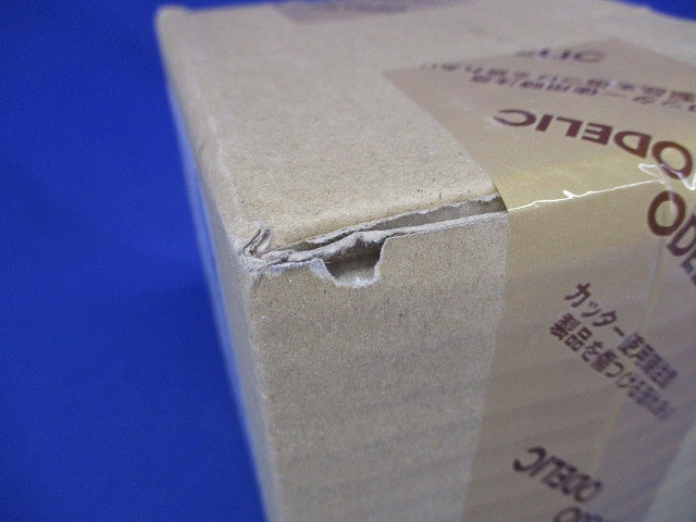 LEDポーチライト マットシルバー ランプ別売 OG254279P2