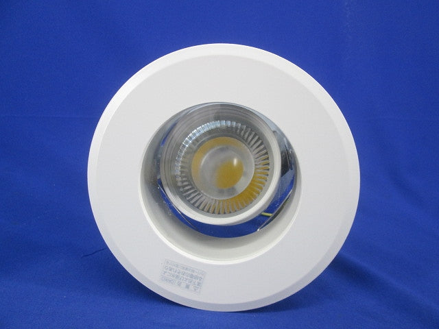 LED軒下用ユニバーサルダウンライト LZW-92179NW