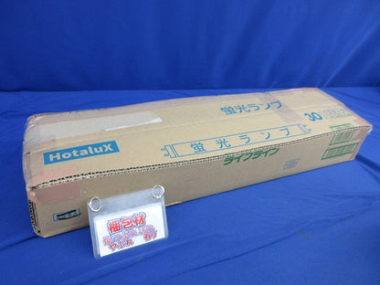 蛍光ランプ(10本入) FL30SD