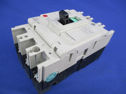 ノーヒューズスイッチ3P50A DSN63-SV