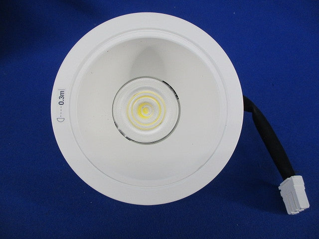 LEDダウンライト φ100(昼白色) 電源ユニット別売 NDN28315W