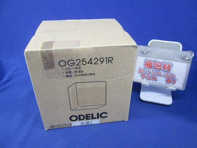 LEDポーチライト(防雨・防湿型) OG254291R