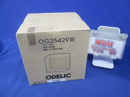 LEDポーチライト(防雨・防湿型) OG254291R