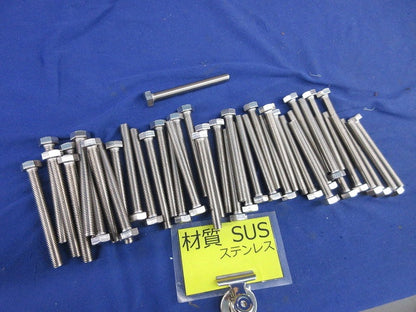 六角ボルト(ステンレス)(44個入) M8×75
