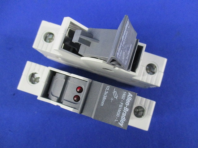 1極ヒューズホルダー(LED表示付き)(6個入) 1492-FB1M30-L