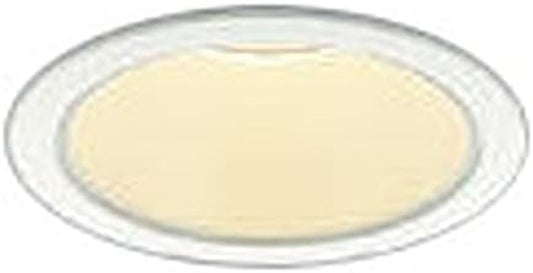 LEDダウンライト 3000K 調光器併用不可 AD53372