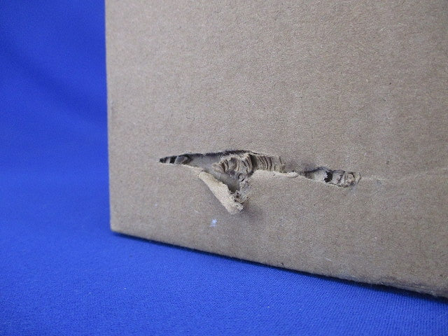 LEDダウンライト φ100 2700K 電球色 電源別売 ERD7834WC