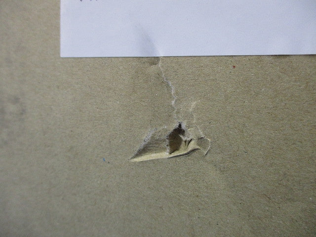 換気扇温度スイッチ FY-STS06