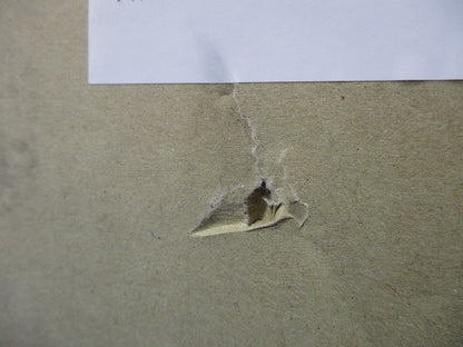 換気扇温度スイッチ FY-STS06