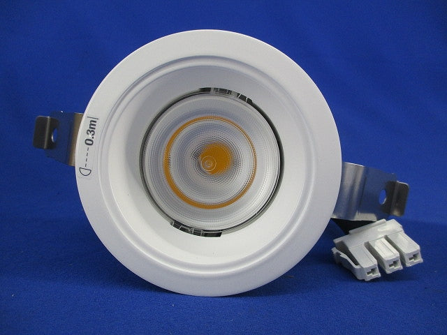 LED小径ダウンライト(白色・広角タイプ) LEDD-25011MWW