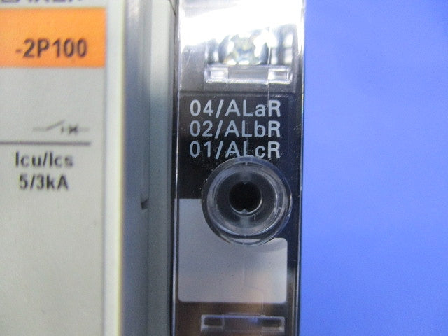 オートブレーカ2P100A BW100EAG