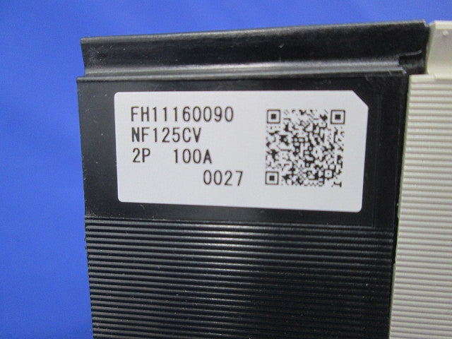 ノーヒュズブレーカ 2P100A NF125-CV