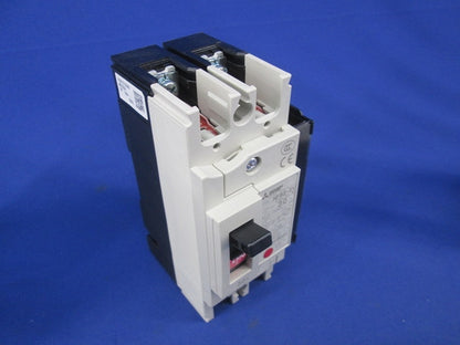 ノーヒューズブレーカ 2P30A(アラームスイッチ付) NF63-SV