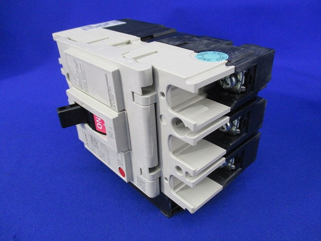 ノーヒューズスイッチ3P50A DSN63-SV