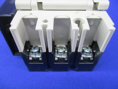 ノーヒューズスイッチ3P50A DSN63-SV