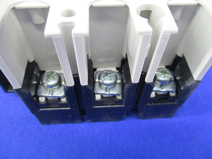 ノーヒューズスイッチ3P50A DSN63-SV