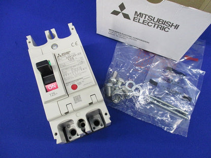 ノーヒューズスイッチ2P125A DSN125-CV