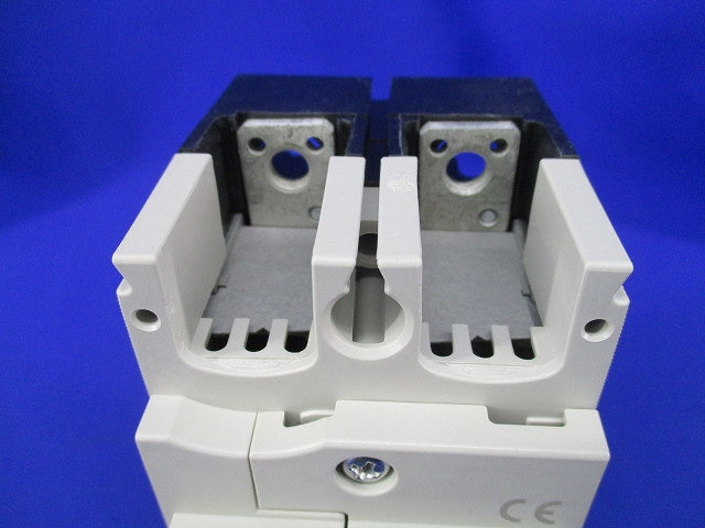 ノーヒューズスイッチ2P125A DSN125-CV