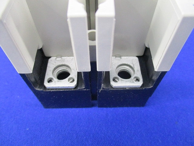 ノーヒューズスイッチ2P125A DSN125-CV