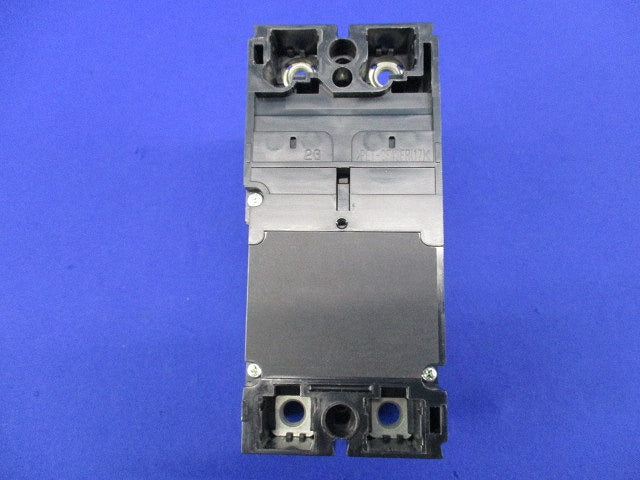 ノーヒューズスイッチ2P125A DSN125-CV